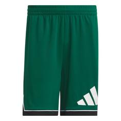 adidas adidas Basketball Badge of Sport Shorts Basketball-Shorts Herren Team Dark Green / Black