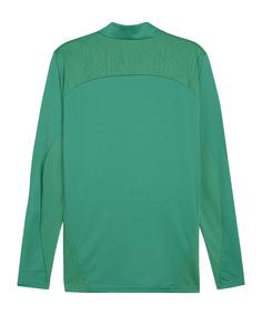 Rückansicht von PUMA SK Rapid Wien Prematch Jacke 2024/2025 Trainingsjacke gruen