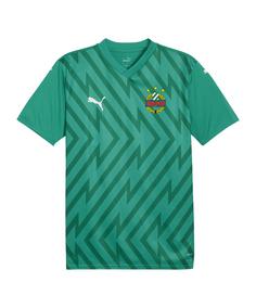 PUMA SK Rapid Torwarttrikot 2024/2025 Fanshirt gruen