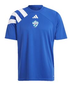 adidas TSV Hartberg Prematch Shirt 2024/2025 T-Shirt blau