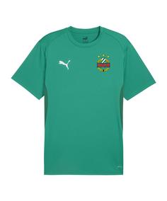 PUMA SK Rapid Wien Trainingsshirt T-Shirt gruen