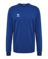 hummel hmlAuthentic Training Sweatshirt Funktionssweatshirt - blau