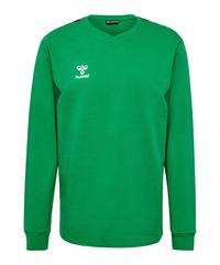 hummel hmlAuthentic Training Sweatshirt Funktionssweatshirt - gruen