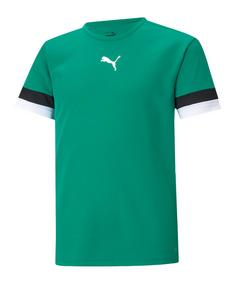 PUMA teamRISE Trikot Kids Hell Fußballtrikot Kinder gruenschwarzweiss