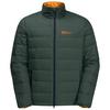 Jack Wolfskin ATHER DOWN JKT M Daunenjacke Herren - linen