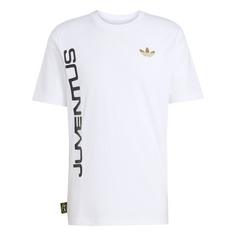 adidas Juventus Turin Graphic T-Shirt Fanshirt Herren White / Dark Football Gold