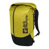 Jack Wolfskin ALL-IN PACK 30 Wanderrucksack - chartreuse