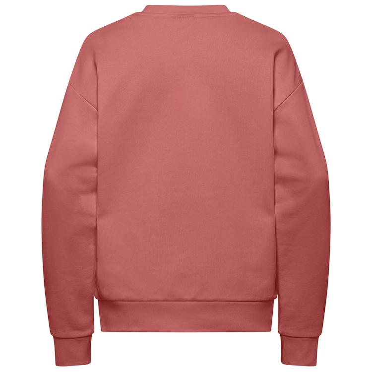 Jack Wolfskin Jack Wolfskin ESSENTIAL CREWNECK W Sweatshirt Damen - mineral red - 0 | SportScheck