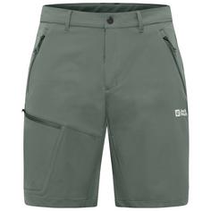 Jack Wolfskin PICO TRAIL SHORTS M Shorts Herren slate green