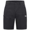Jack Wolfskin PICO TRAIL SHORTS M Shorts Herren - phantom