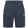 Jack Wolfskin PICO TRAIL SHORTS M Shorts Herren - midnight sky
