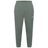 Jack Wolfskin PRELIGHT SWIFT PANT M Funktionshose Herren - slate green