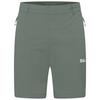 Jack Wolfskin HIKEOUT SHORTS M Shorts Herren - slate green