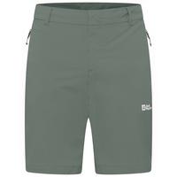 Jack Wolfskin HIKEOUT SHORTS M Shorts Herren - slate green