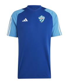 adidas TSV Hartberg Trainingsshirt T-Shirt weiss