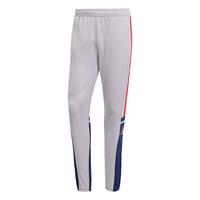 adidas Squadra 25 Trainingshose Trainingshose Herren - Glory Grey / Team Navy Blue 2 / Pure Ruby