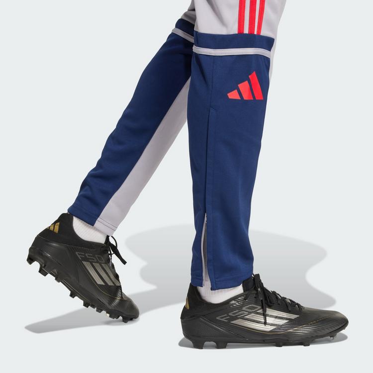 adidas adidas Squadra 25 Trainingshose Trainingshose Herren - Glory Grey / Team Navy Blue 2 / Pure Ruby - 1 | SportScheck