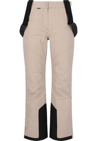 Whistler Drizzle Skihose Damen - 1136 Simply Taupe