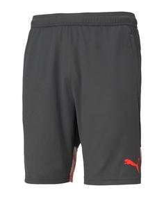 PUMA individualCUP Short Fußballshorts Herren graurot