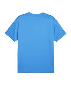 Rückansicht von PUMA teamGOAL Trikot Funktionsshirt Herren hellblauweissdunkelblau