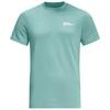Jack Wolfskin ESSENTIAL T M T-Shirt Herren - soft jade