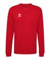 hummel hmlAuthentic Training Sweatshirt Funktionssweatshirt - rot