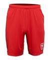 PUMA Short Fu&szlig;ballshorts Herren - rot