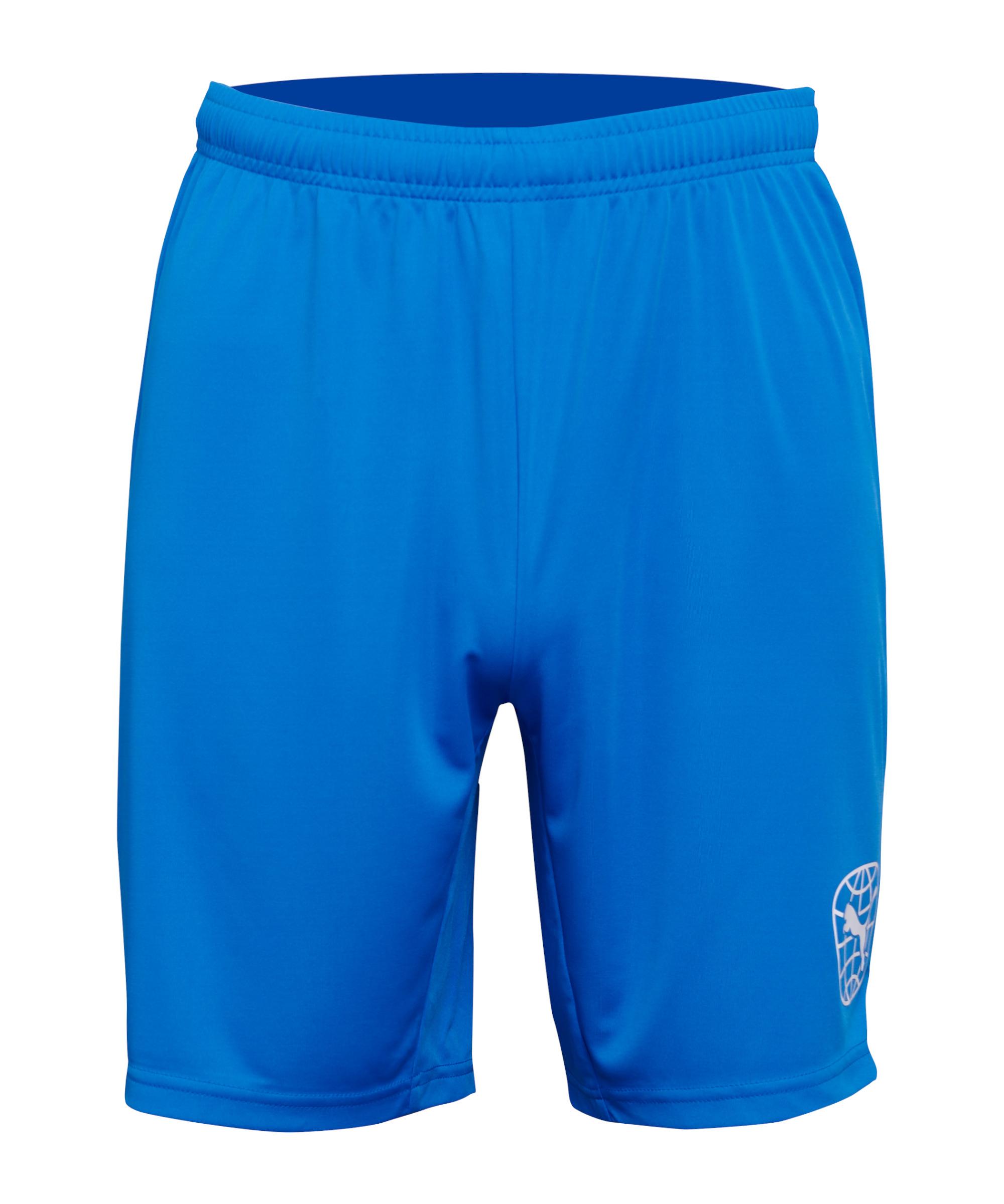 PUMA Short Fu&szlig;ballshorts Herren - blau