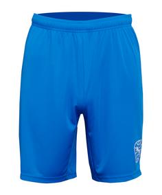 PUMA Short Fußballshorts Herren blau