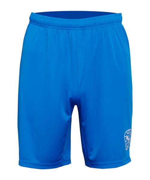 PUMA Short Fu&szlig;ballshorts Herren