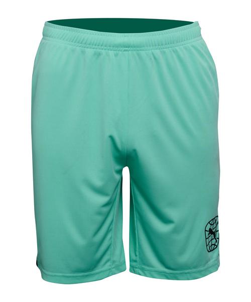 PUMA Short Fu&szlig;ballshorts Herren