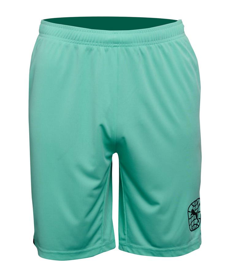 PUMA PUMA Short Fu&szlig;ballshorts Herren - tuerkis - 0 | SportScheck