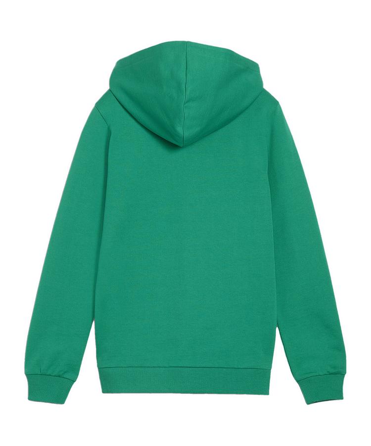 PUMA PUMA teamGOAL Casuals Kapuzenjacke Kids Trainingsjacke Kinder - gruenweiss - 0 | SportScheck