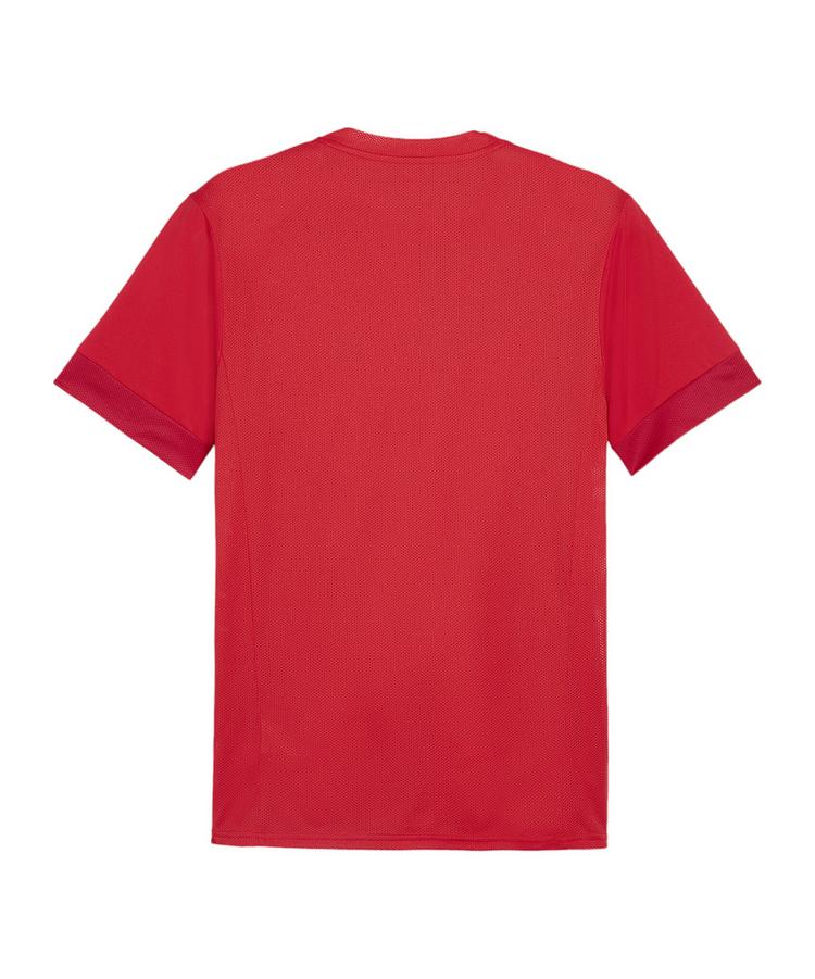 PUMA PUMA teamGOAL Matchday Trikot Trikot Herren - rot - 0 | SportScheck