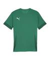 PUMA teamGOAL Matchday Trikot Trikot Herren - gruenweiss