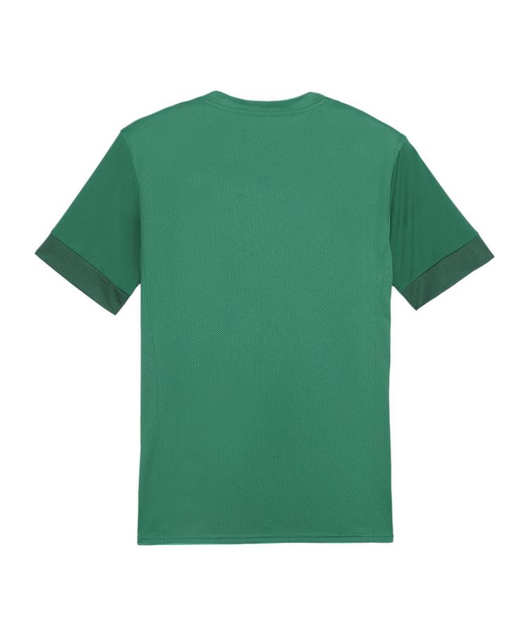 PUMA PUMA teamGOAL Matchday Trikot Trikot Herren - gruenweiss - 0 | SportScheck