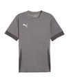 PUMA teamGOAL Matchday Trikot Trikot Herren - grauweiss