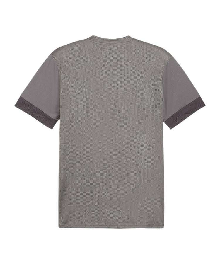 PUMA PUMA teamGOAL Matchday Trikot Trikot Herren - grauweiss - 0 | SportScheck