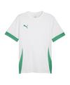 PUMA teamGOAL Matchday Trikot Trikot Herren - weissgruen