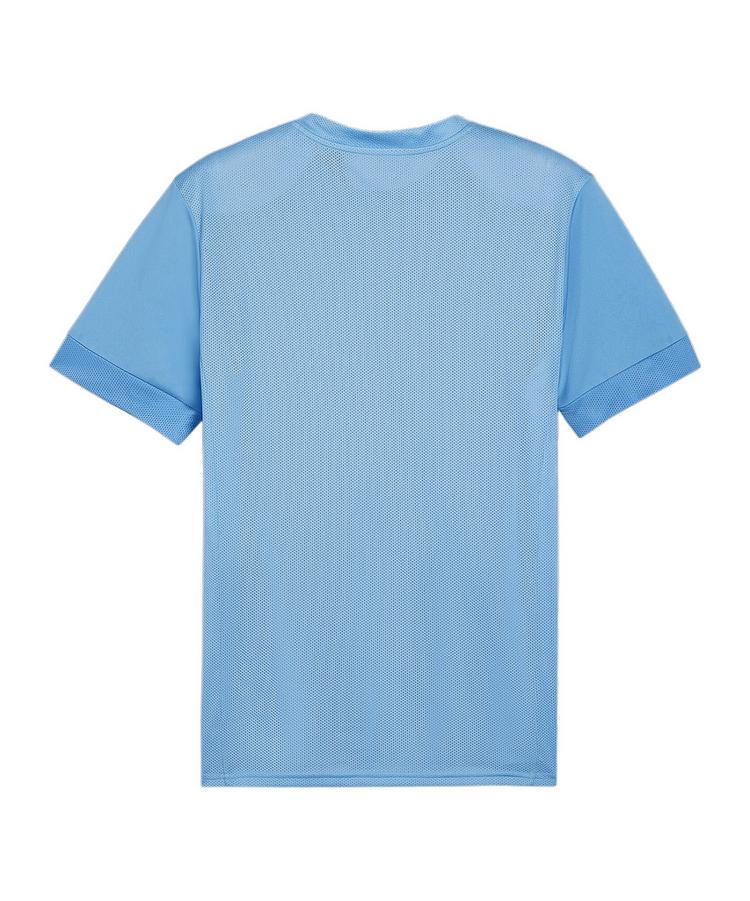 PUMA PUMA teamGOAL Matchday Trikot Trikot Herren - blau - 0 | SportScheck