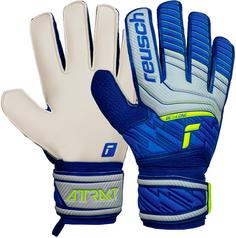 Reusch Attrakt Solid Torwarthandschuhe vapor gray/deep blue