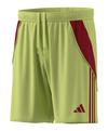 adidas Tiro 24 Short Fu&szlig;ballshorts Herren - gelb