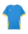 PUMA teamGOAL Matchday Trikot Trikot Herren - blaugelb