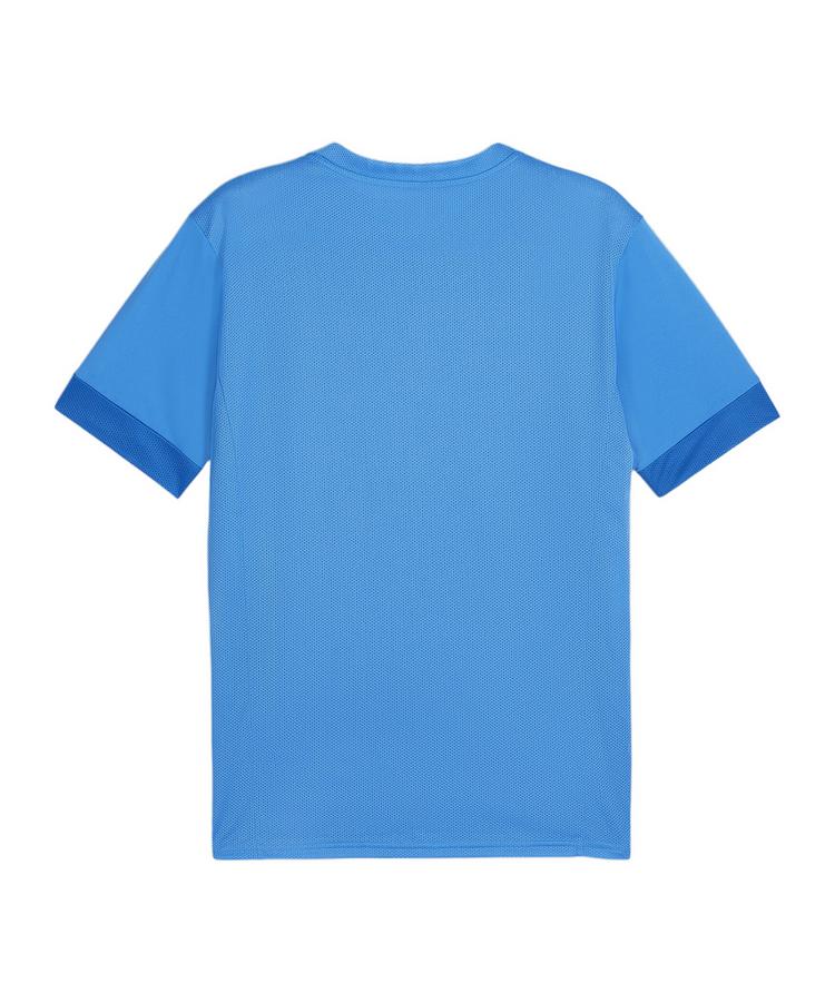 PUMA PUMA teamGOAL Matchday Trikot Trikot Herren - blaublau - 0 | SportScheck