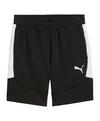 PUMA teamEVOSTRIPE Short Fu&szlig;ballshorts Herren - schwarz