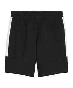 Rückansicht von PUMA teamEVOSTRIPE Short Fußballshorts Herren schwarz