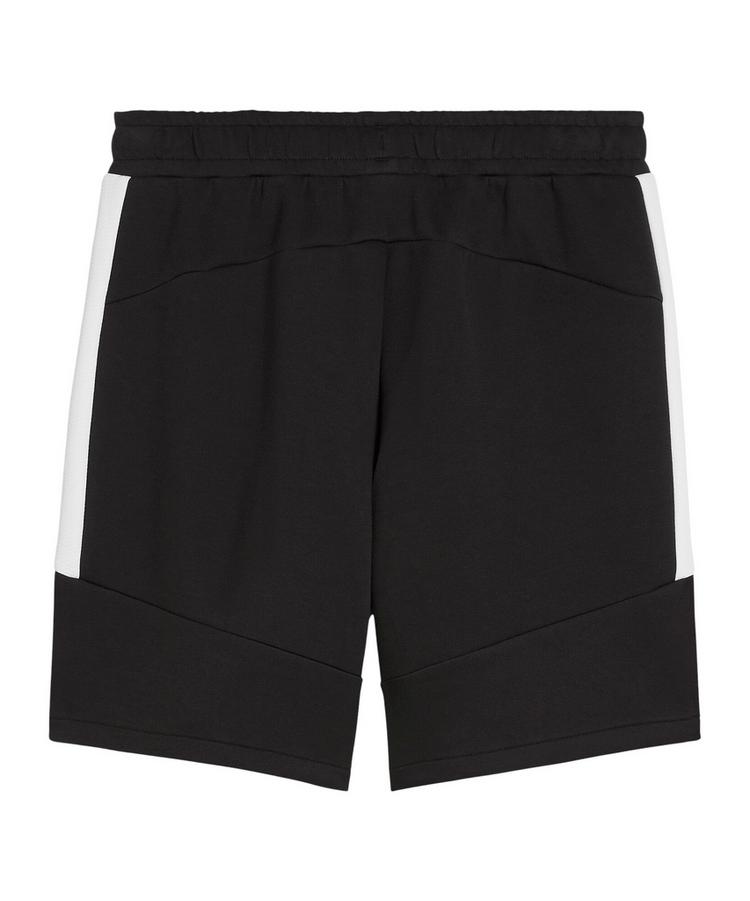 PUMA PUMA teamEVOSTRIPE Short Fu&szlig;ballshorts Herren - schwarz - 0 | SportScheck