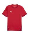 PUMA teamFINAL Trikot Trikot Herren - rotweiss