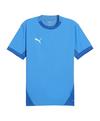 PUMA teamFINAL Trikot Trikot Herren - blaublau