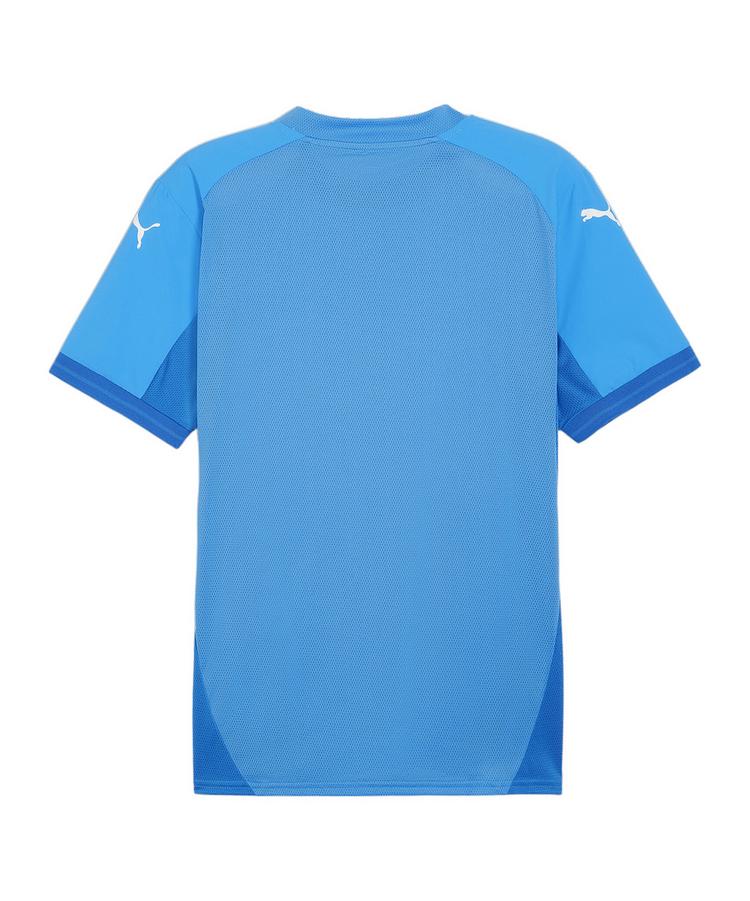 PUMA PUMA teamFINAL Trikot Trikot Herren - blaublau - 0 | SportScheck